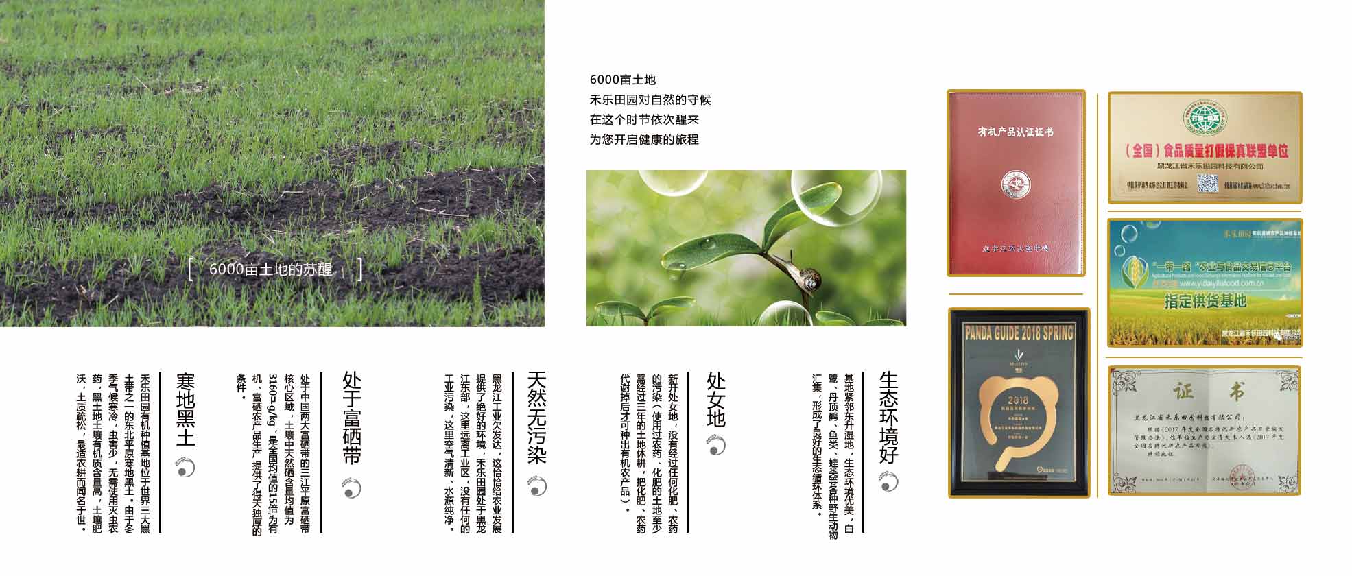 公司簡介